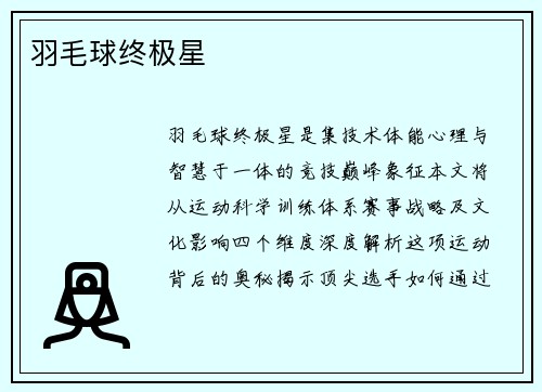 羽毛球终极星